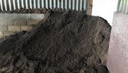 Peat dataset delayed